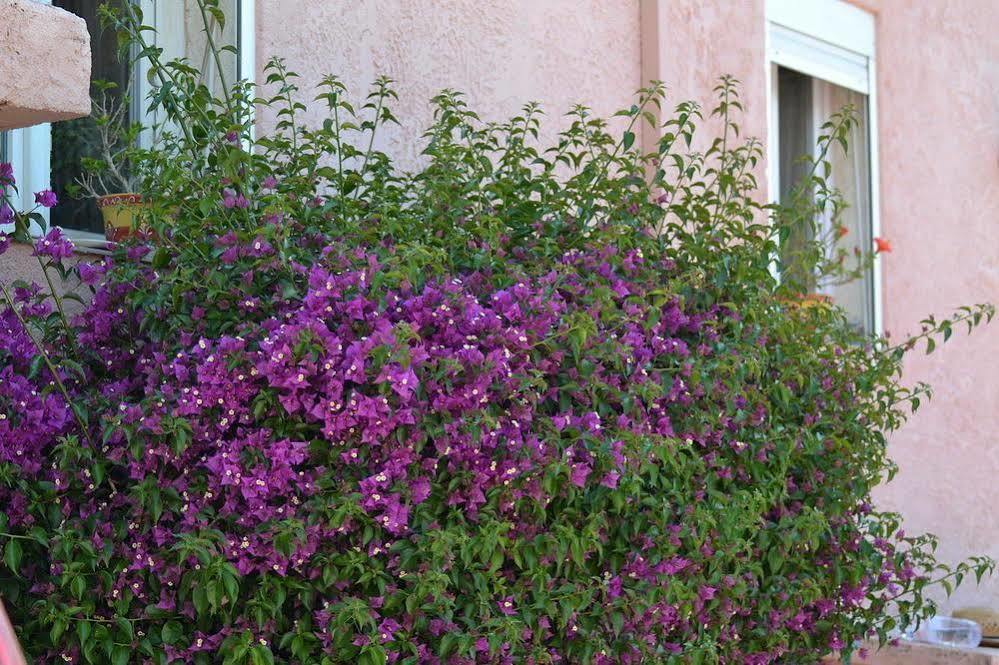 Hotel Princesse D'Azur Sainte-Maxime Eksteriør bilde